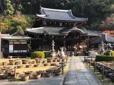 三室戸寺の本殿・本堂