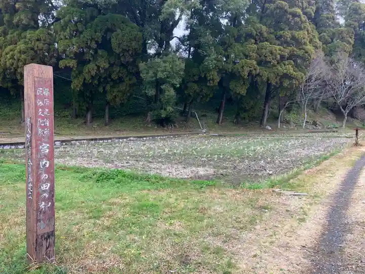 鹿児島神宮(鹿児島県)