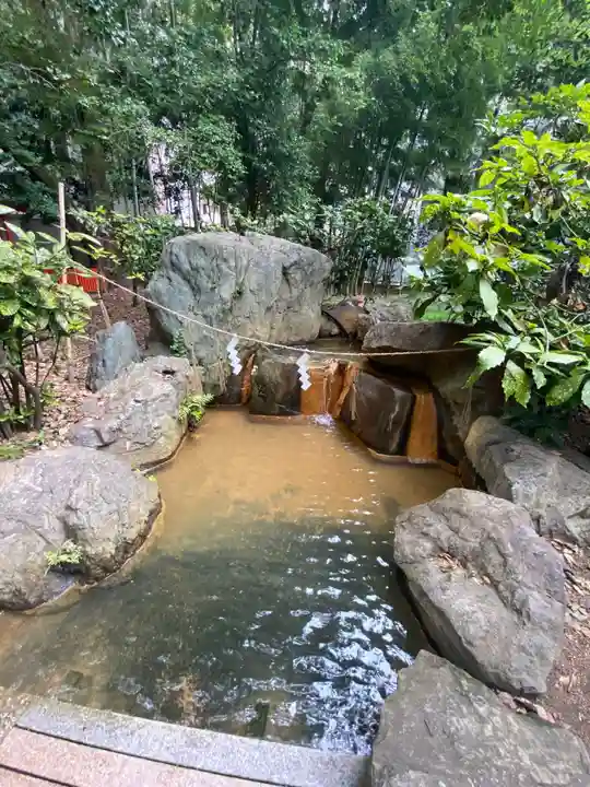 生田神社のおみくじ