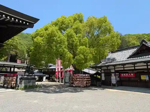 最上稲荷山妙教寺(岡山県)