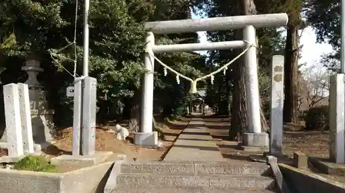 稲荷神社の鳥居