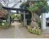 子守神社(千葉県)
