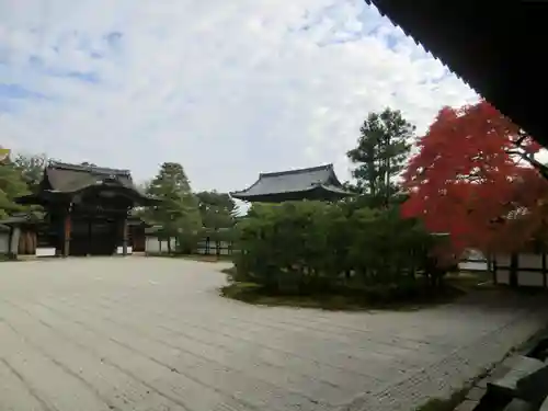 仁和寺の庭園