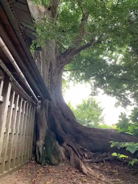 須賀神社(千葉県)
