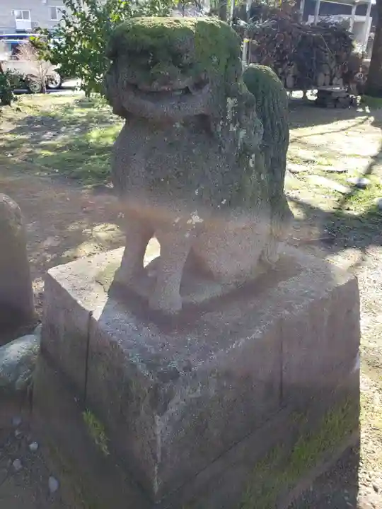 新川神社の狛犬