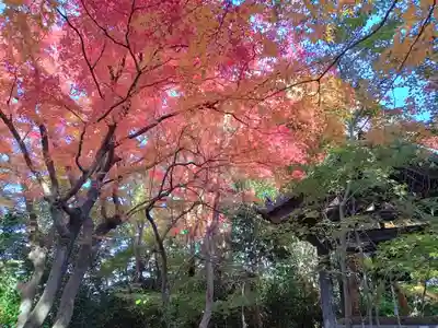 龍尾寺(大阪府)
