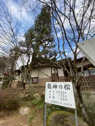 龍泉寺の建物その他