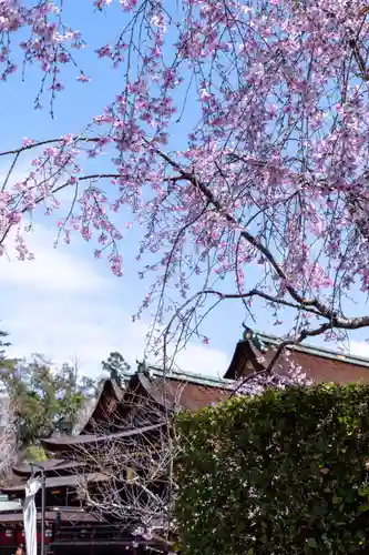 北野天満宮(京都府)