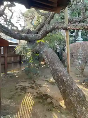 神宮寺の{uncategorized: "未分類", other: "その他", undefined: "問題あり", building: "その他建物", grave: "お墓", sacred_gate: "鳥居", guardian: "狛犬", statue: "像", buddha: "仏像", history: "歴史", nature: "自然", garden: "庭園", animal: "動物", pagoda: "塔", temizu: "手水舎", mountain_gate: "山門・神門", sanctuary: "本殿・本堂", subordinate: "末社・摂社", art: "芸術", scenery: "景色", jizo: "地蔵", ema: "絵馬", goshuin: "御朱印", omikuji: "おみくじ", items: "授与品その他", amulet: "お守り", goshuincho: "御朱印帳", eats: "食事", festival: "お祭り", votive_dance: "神楽", shichigosan: "七五三参", wedding: "結婚式", experience: "体験その他", initially: "初詣", around: "周辺", anti_infection: "感染症対策"}