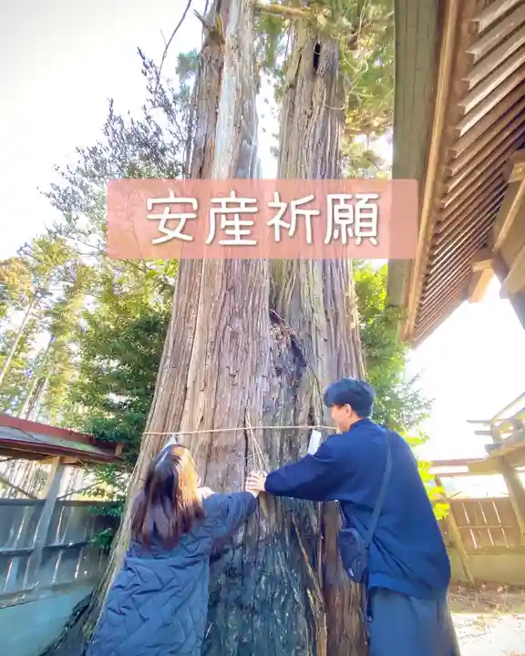 鹿嶋三嶋神社(茨城県)