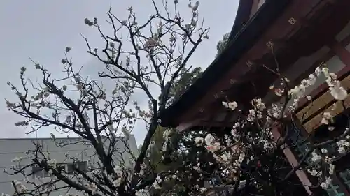 西院春日神社(京都府)