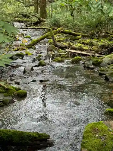 穂高神社奥宮の自然