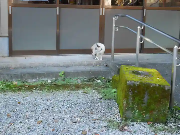 清滝寺(高知県)