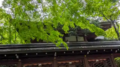 御霊神社（上御霊神社）(京都府)