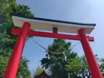 若宮神社(鹿児島県)