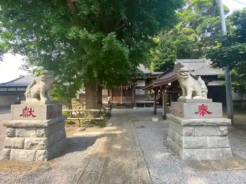 印内八坂神社の狛犬