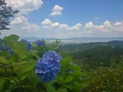 善峯寺(京都府)