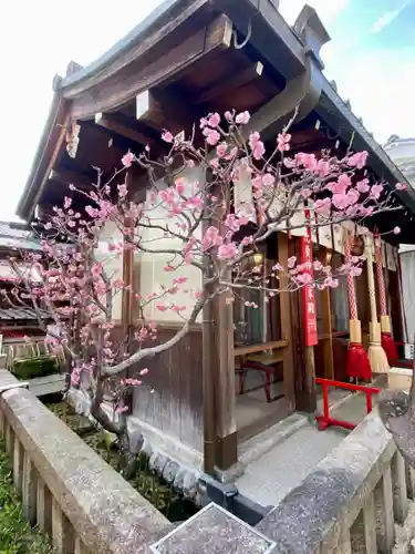 市比賣神社(京都府)