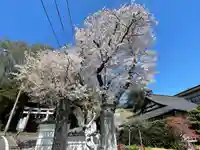 無量寺(神奈川県)