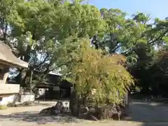 藤白神社の建物その他