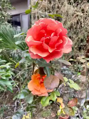 感応寺の{uncategorized: "未分類", other: "その他", undefined: "問題あり", building: "その他建物", grave: "お墓", sacred_gate: "鳥居", guardian: "狛犬", statue: "像", buddha: "仏像", history: "歴史", nature: "自然", garden: "庭園", animal: "動物", pagoda: "塔", temizu: "手水舎", mountain_gate: "山門・神門", sanctuary: "本殿・本堂", subordinate: "末社・摂社", art: "芸術", scenery: "景色", jizo: "地蔵", ema: "絵馬", goshuin: "御朱印", omikuji: "おみくじ", items: "授与品その他", amulet: "お守り", goshuincho: "御朱印帳", eats: "食事", festival: "お祭り", votive_dance: "神楽", shichigosan: "七五三参", wedding: "結婚式", experience: "体験その他", initially: "初詣", around: "周辺", anti_infection: "感染症対策"}