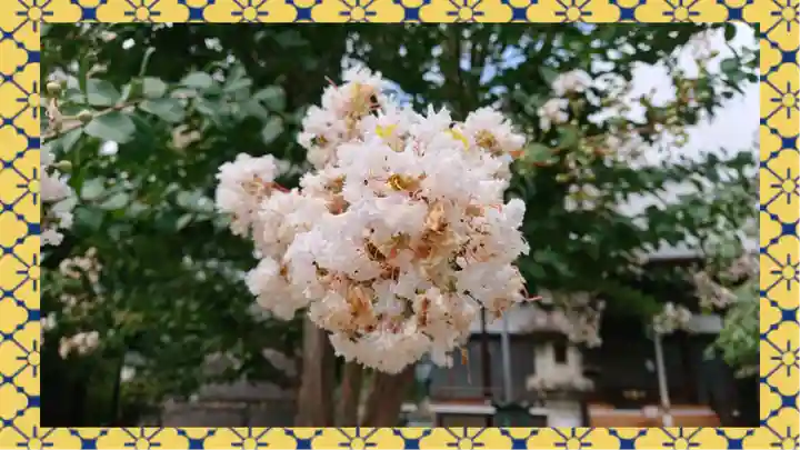 大蔵院(群馬県)