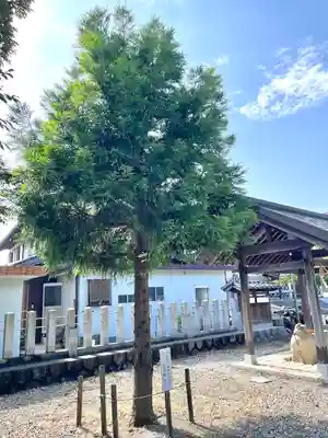 鳥取神社(三重県)