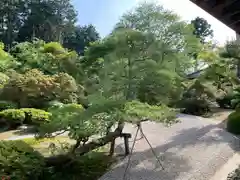 曼殊院門跡(京都府)