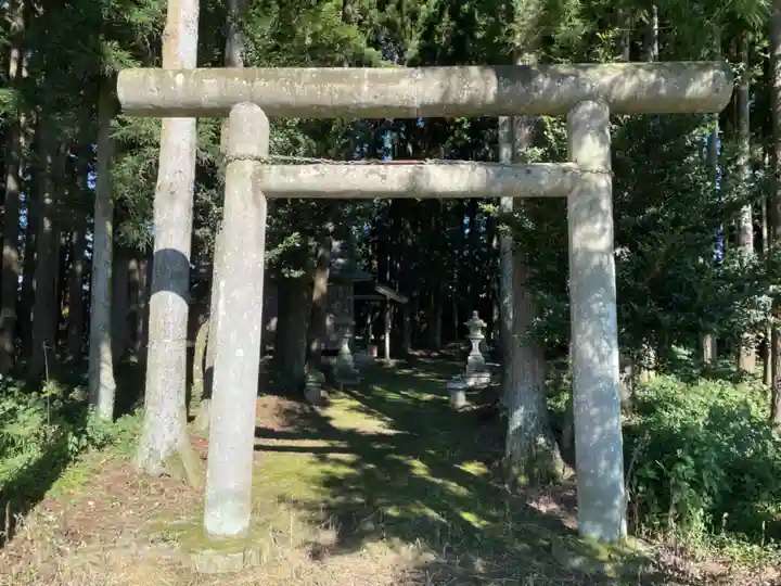 温泉神社(上奥沢)の鳥居