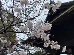 三津厳島神社の自然