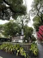 若一神社(京都府)