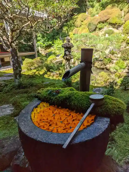 柳谷観音 楊谷寺(京都府)