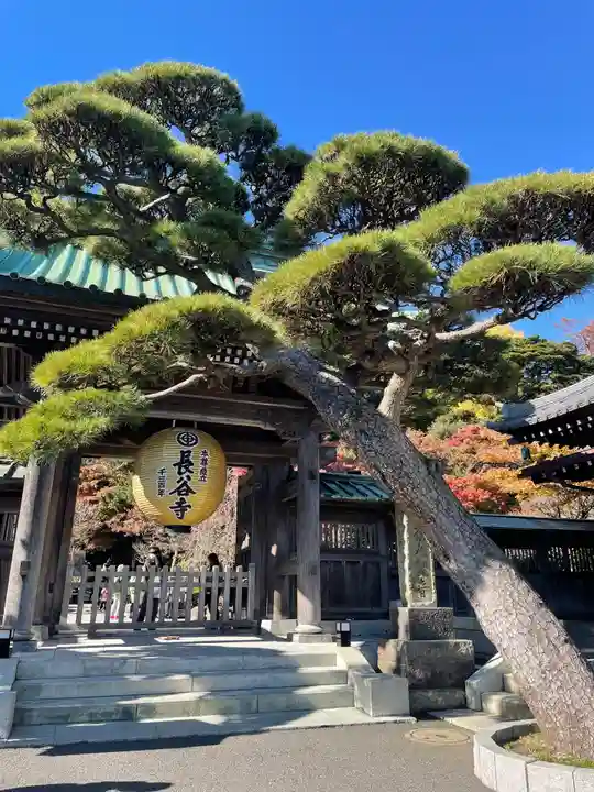 長谷寺の山門・神門