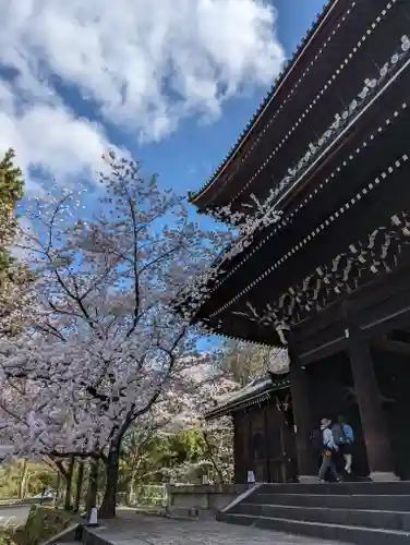 知恩院(京都府)