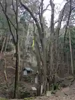 井戸神社の{uncategorized: "未分類", other: "その他", undefined: "問題あり", building: "その他建物", grave: "お墓", sacred_gate: "鳥居", guardian: "狛犬", statue: "像", buddha: "仏像", history: "歴史", nature: "自然", garden: "庭園", animal: "動物", pagoda: "塔", temizu: "手水舎", mountain_gate: "山門・神門", sanctuary: "本殿・本堂", subordinate: "末社・摂社", art: "芸術", scenery: "景色", jizo: "地蔵", ema: "絵馬", goshuin: "御朱印", omikuji: "おみくじ", items: "授与品その他", amulet: "お守り", goshuincho: "御朱印帳", eats: "食事", festival: "お祭り", votive_dance: "神楽", shichigosan: "七五三参", wedding: "結婚式", experience: "体験その他", initially: "初詣", around: "周辺", anti_infection: "感染症対策"}