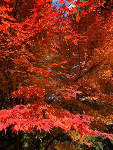 華厳寺(岐阜県)