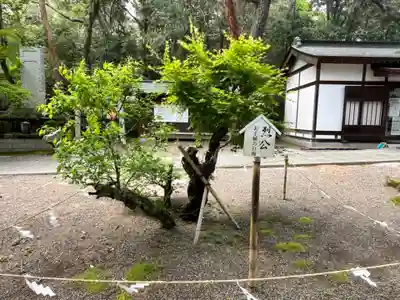 村松大神宮(茨城県)