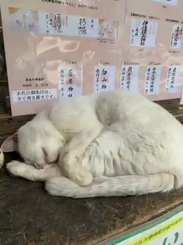 伊佐須美神社の動物