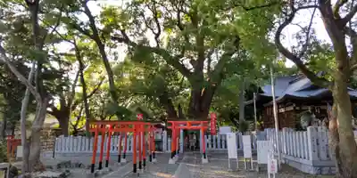 信太森神社（葛葉稲荷神社）(大阪府)