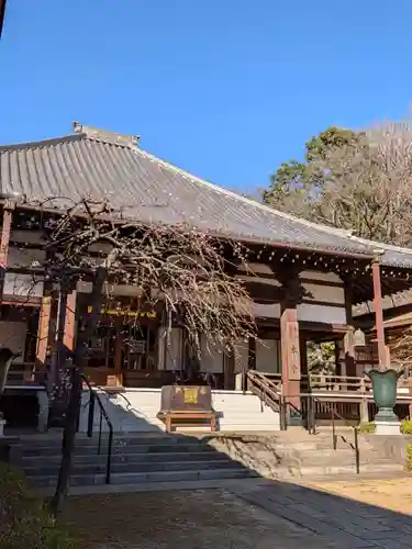 妙法寺(東京都)