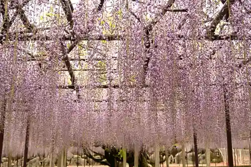 長泉寺(埼玉県)