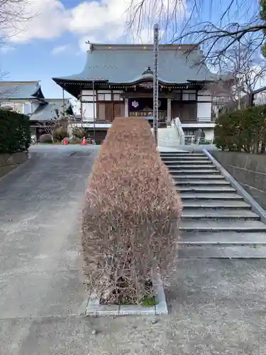 国分寺（相模國分寺）(神奈川県)