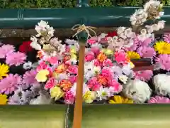 伊和志津神社の手水