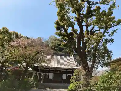 成願寺(神奈川県)