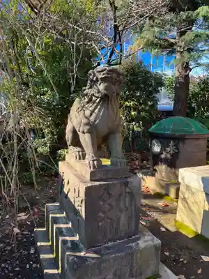 筑土八幡神社の狛犬