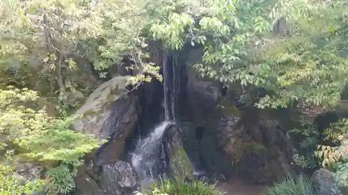 鹿苑寺（金閣寺）の景色