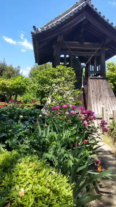 石光寺(奈良県)