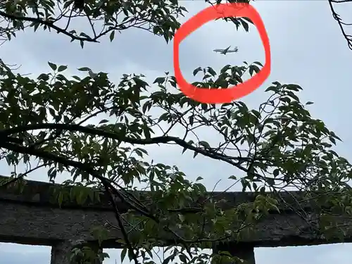 名島神社(福岡県)