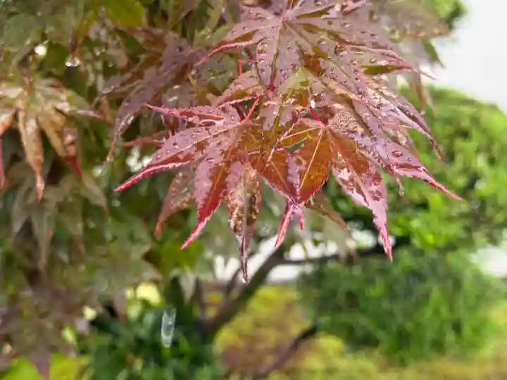西方山極楽寺(岐阜県)