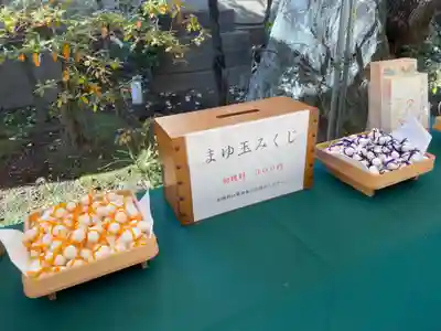 こちらも蚕の繭